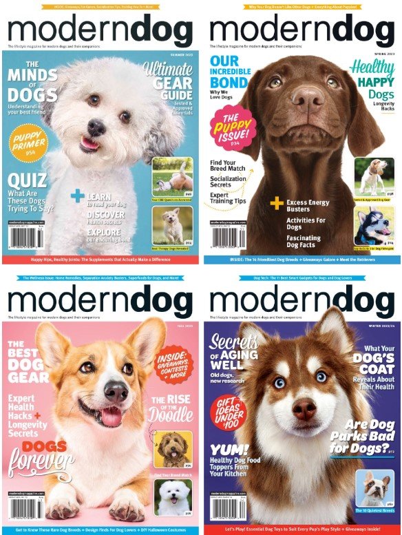 Modern Dog Usa – Full Year 2023 Collection