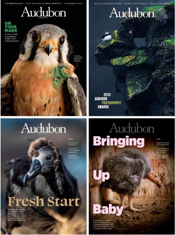 Audubon Magazine – Full Year 2023 Collection