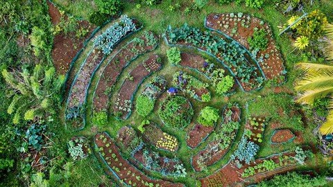 Permaculture Design Mastery: Creating Thriving Ecosystems