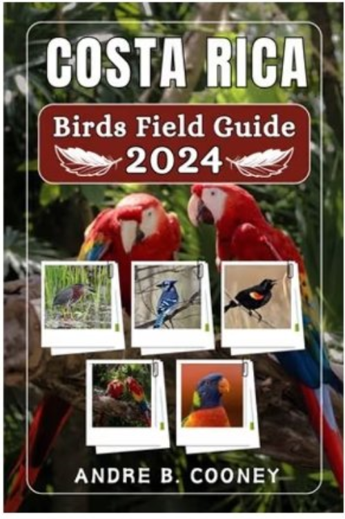 Costa Rica Birds Field Guide 2024