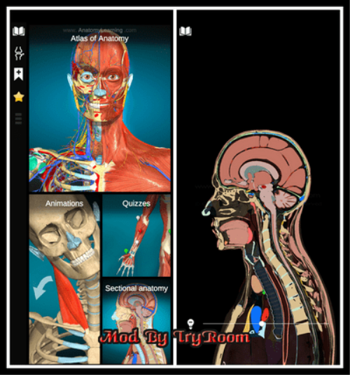 Anatomy Learning – 3d Anatomy V2.1.425