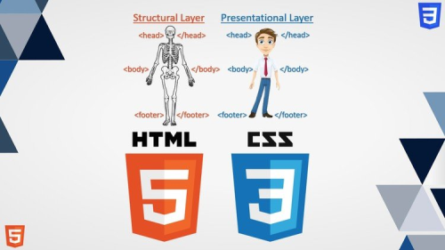 From Html To Css: Comprehensive Beginner’s Course