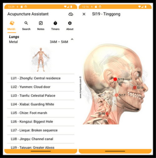 Acupuncture Assistant V8.0.17
