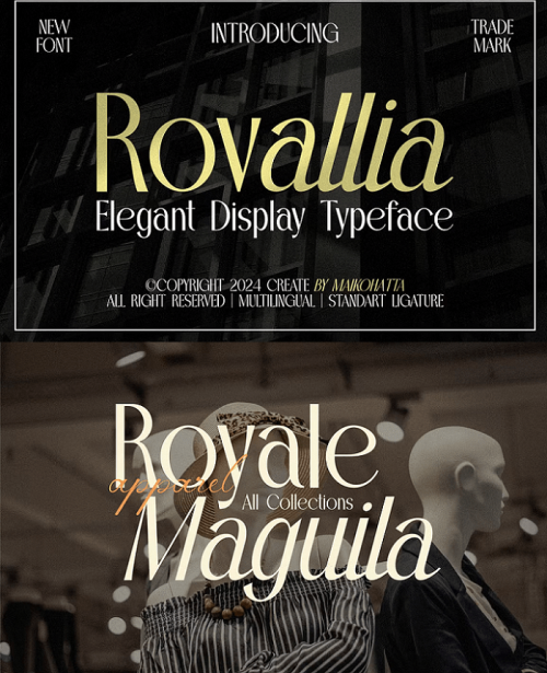 Cm – Rovallia – Elegant Display Typeface 109931303
