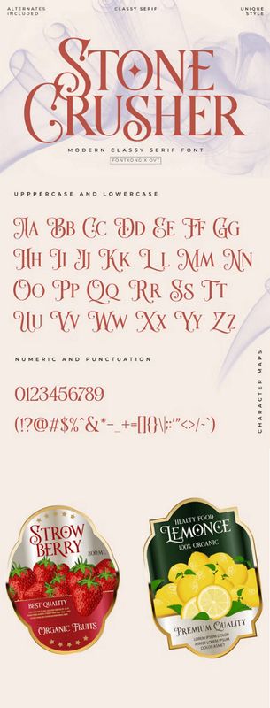 Ee Stone Crusher Modern Classy Serif Font Qbuy46z