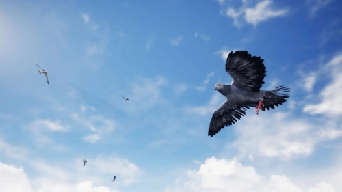 Unreal Engine Marketplace - Birds (5.3)