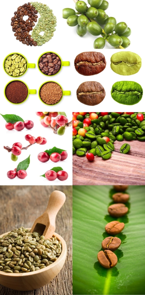 Green Coffee