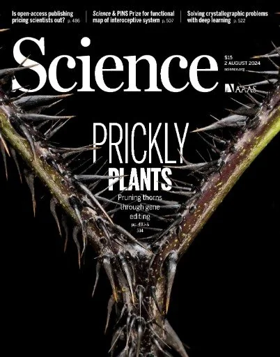Science - Issue 6708 Volume 385, 2 August 2024